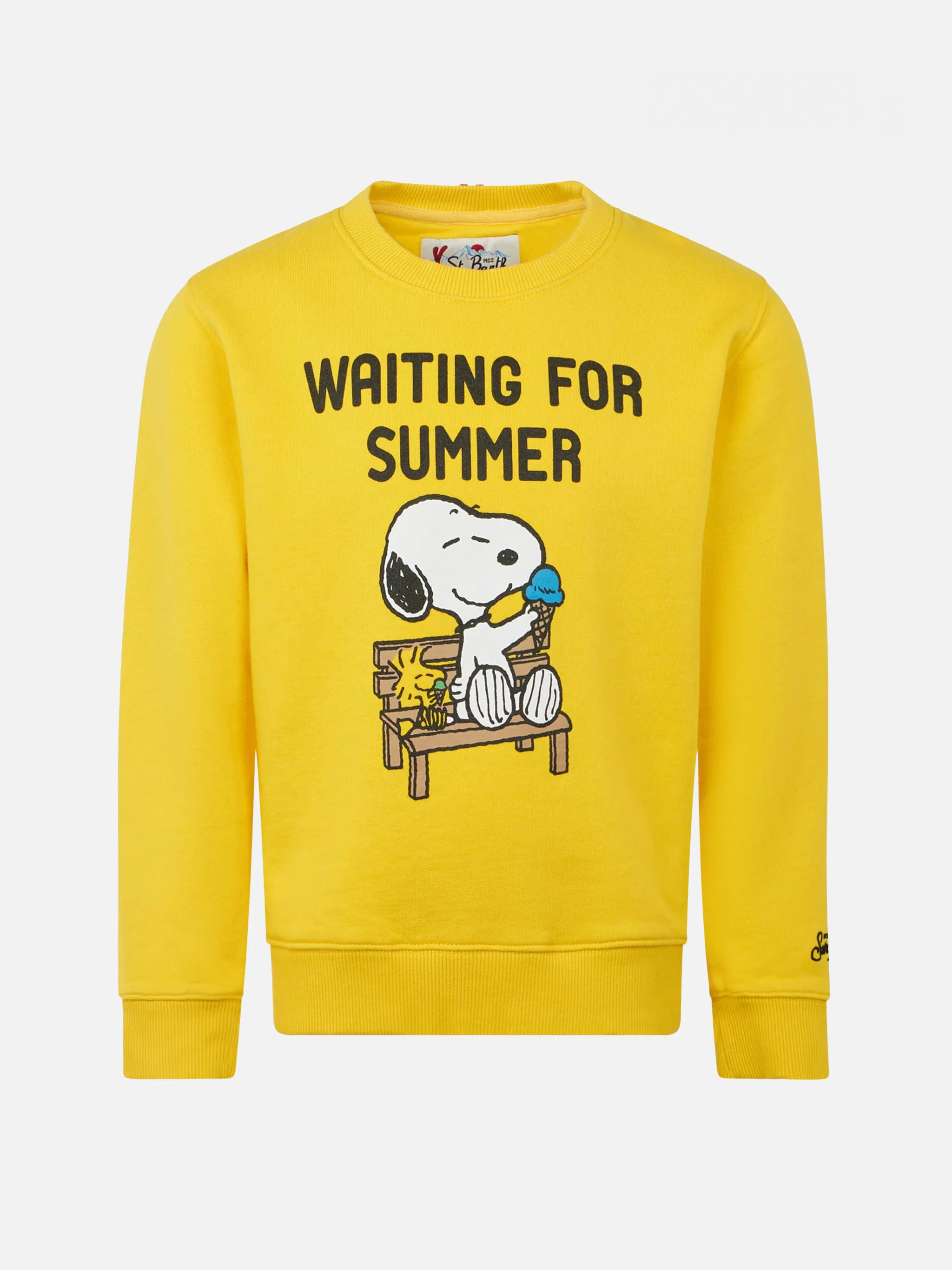 Boy crewneck sweatshirt with Snoopy print | SNOOPY PEANUTS™ SPECIAL EDITION