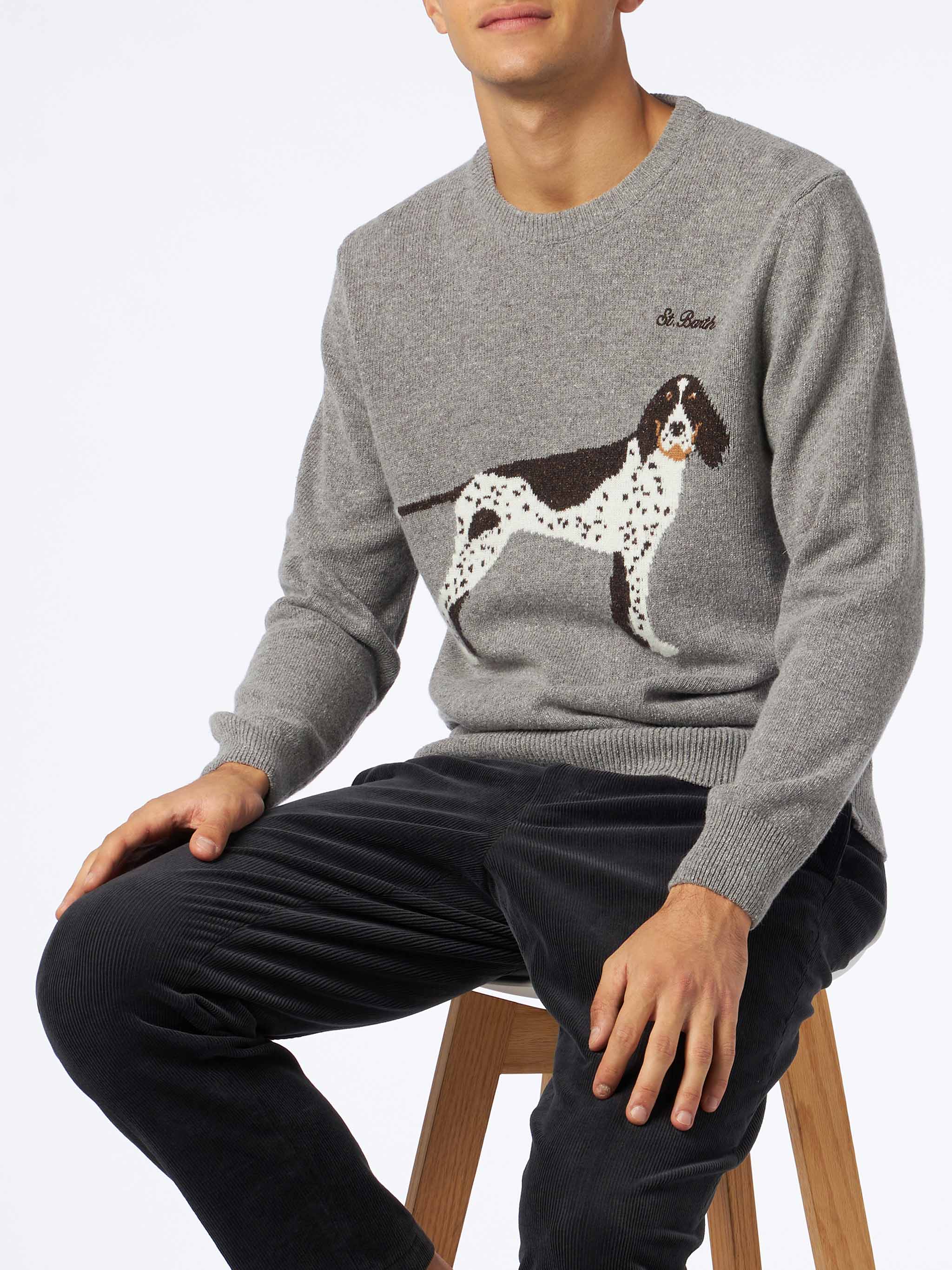 Heron grey donegal dog sweater