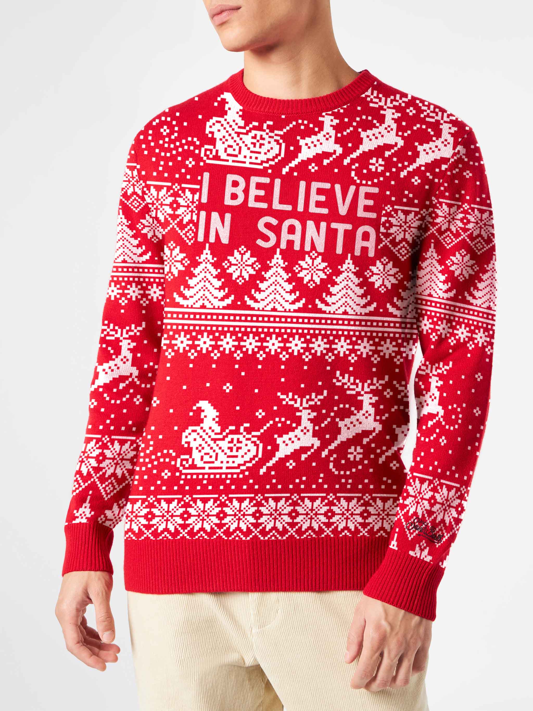 Heron I believe in Santa sweater